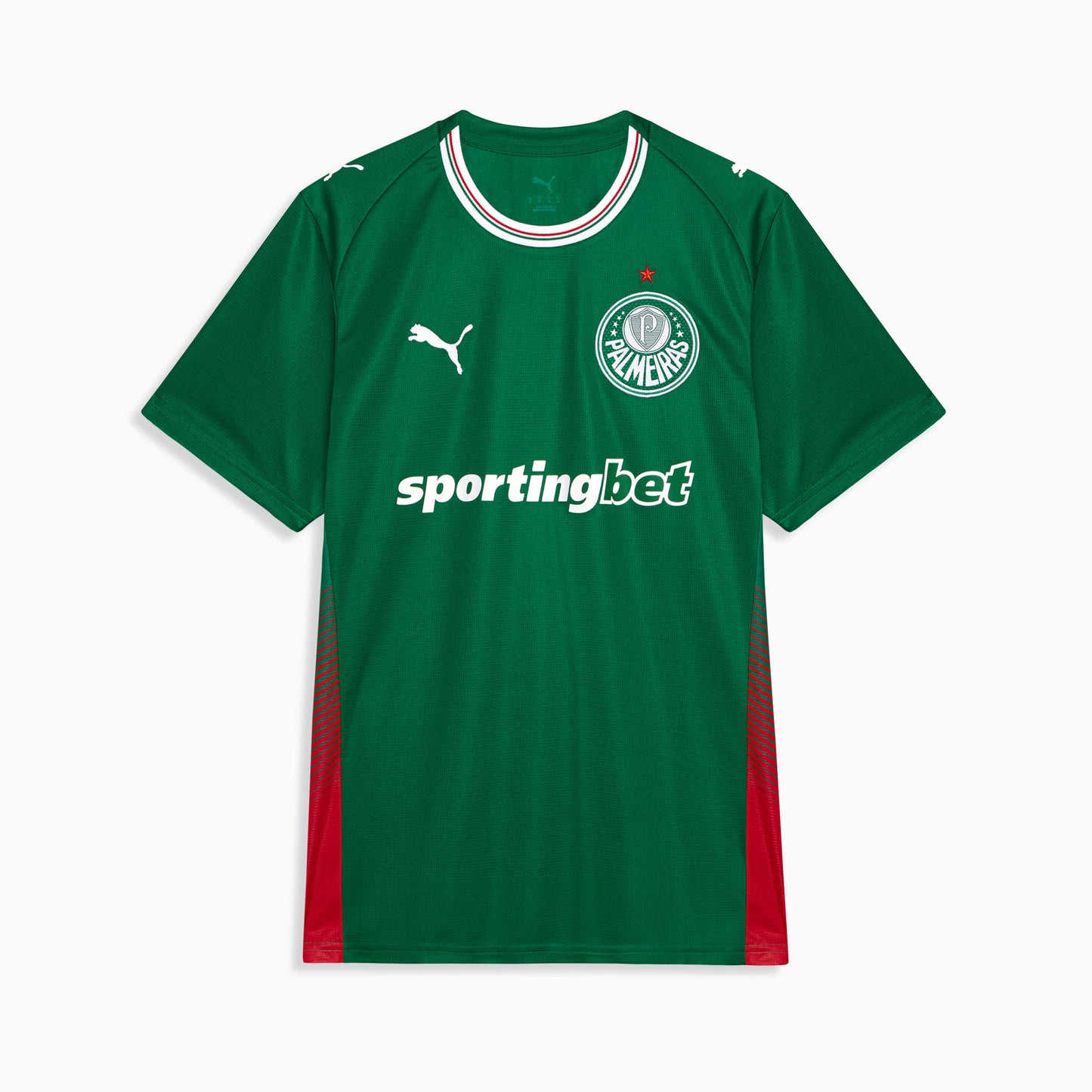 Palmeiras 1ª equipación 26/27