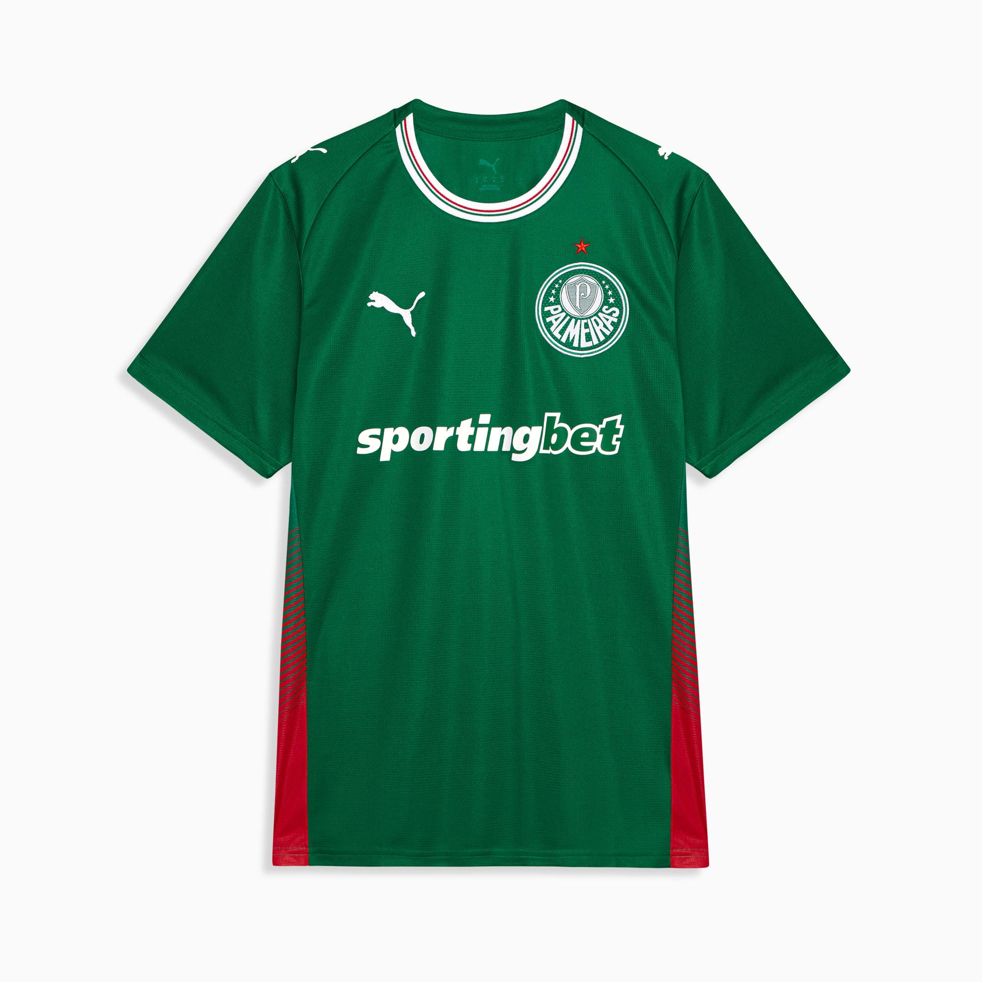 Palmeiras 1ª equipación 26/27