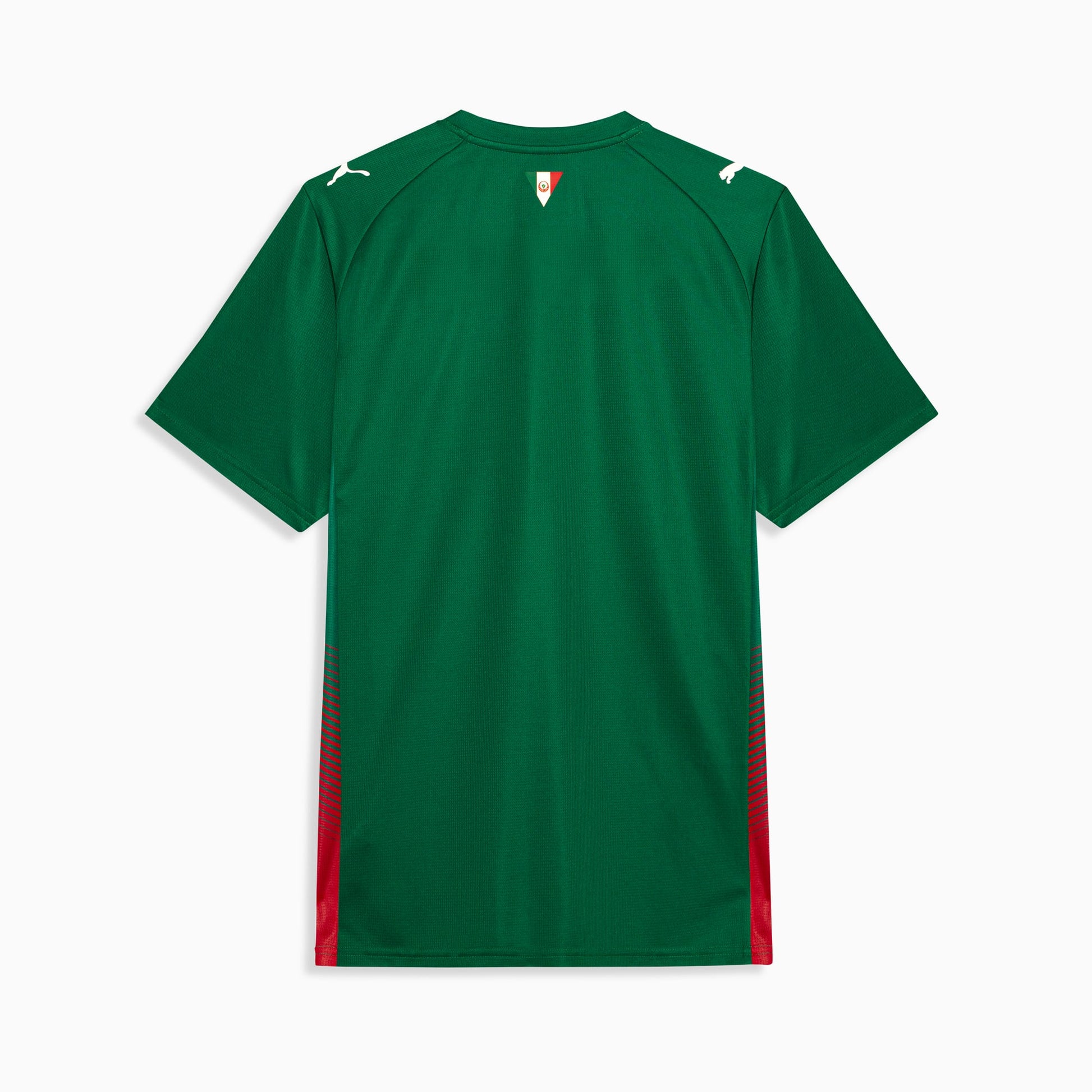Palmeiras 1ª equipación 26/27