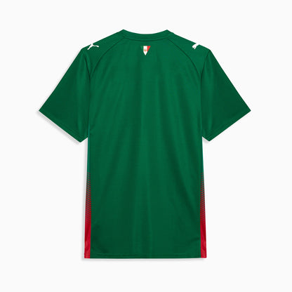 Palmeiras 1ª equipación 26/27
