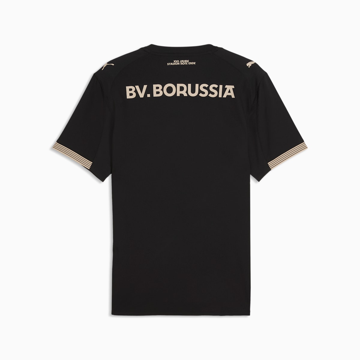 Borussia Dortmund Stadion Rote Erde 25/26